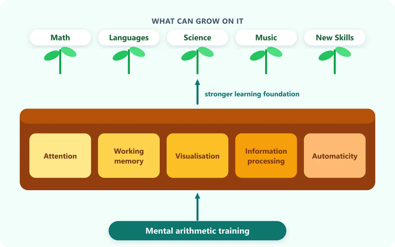 Mental arithmetic training builds a learning foundation of attention, working memory, visualisation, information processing and automaticity for math, languages, science, music and new skills